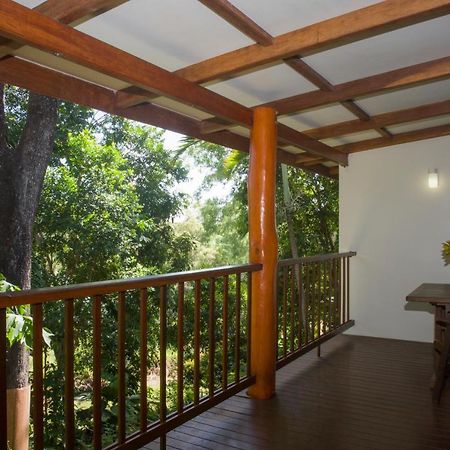 Milkwood Lodge Cooktown Buitenkant foto