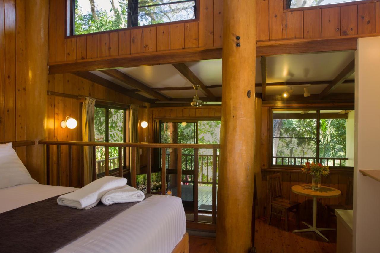 Milkwood Lodge Cooktown Buitenkant foto