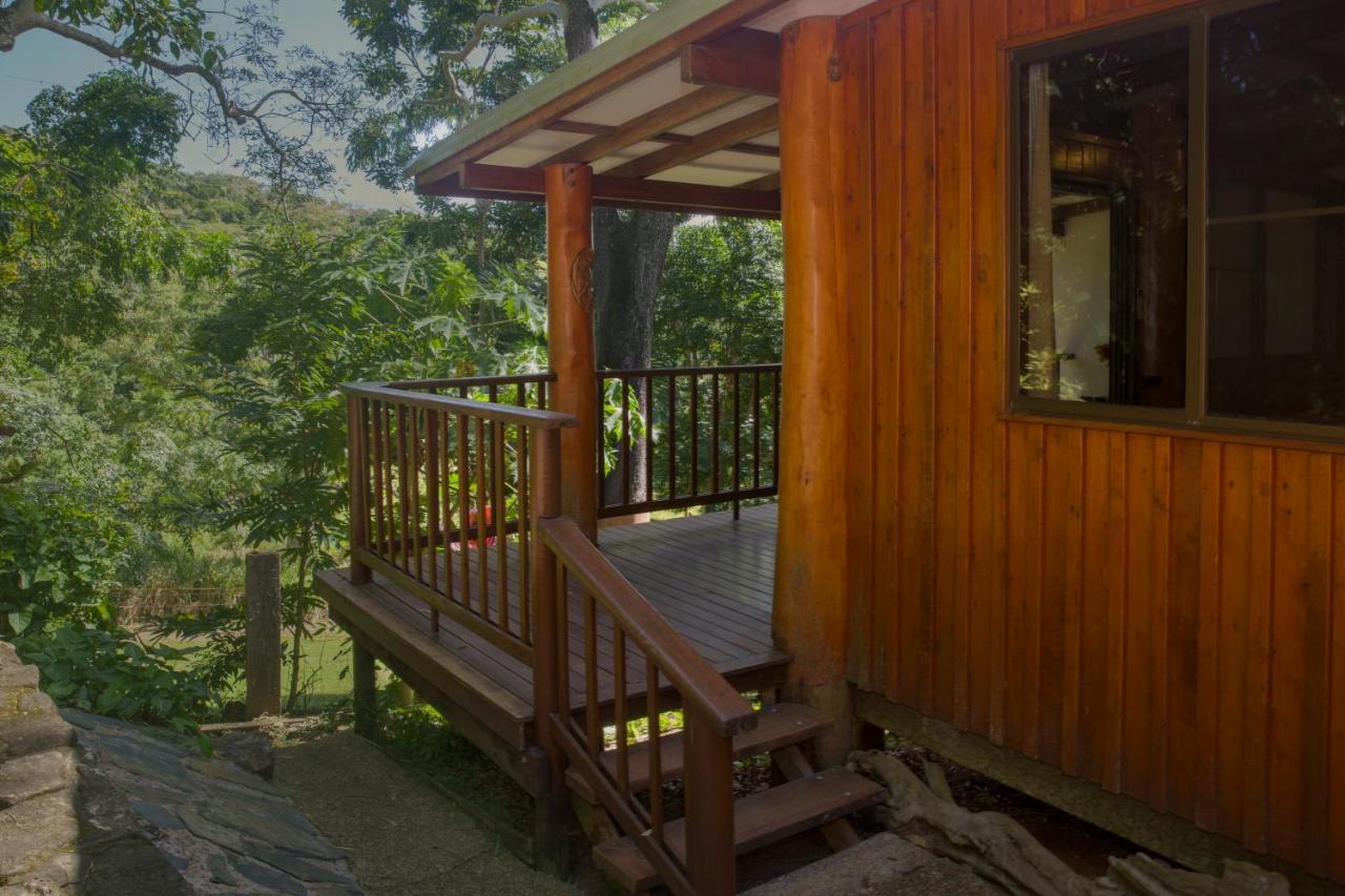 Milkwood Lodge Cooktown Buitenkant foto