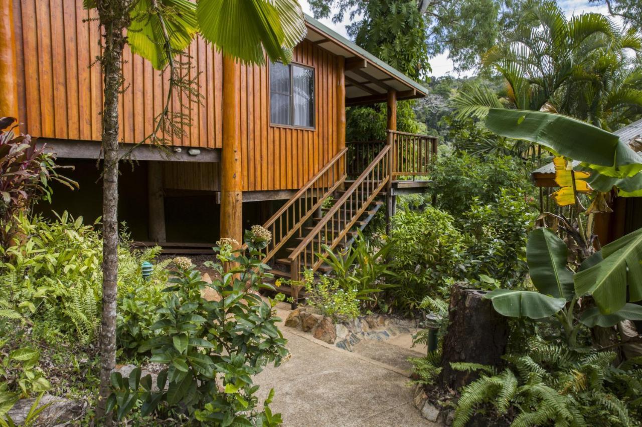 Milkwood Lodge Cooktown Buitenkant foto